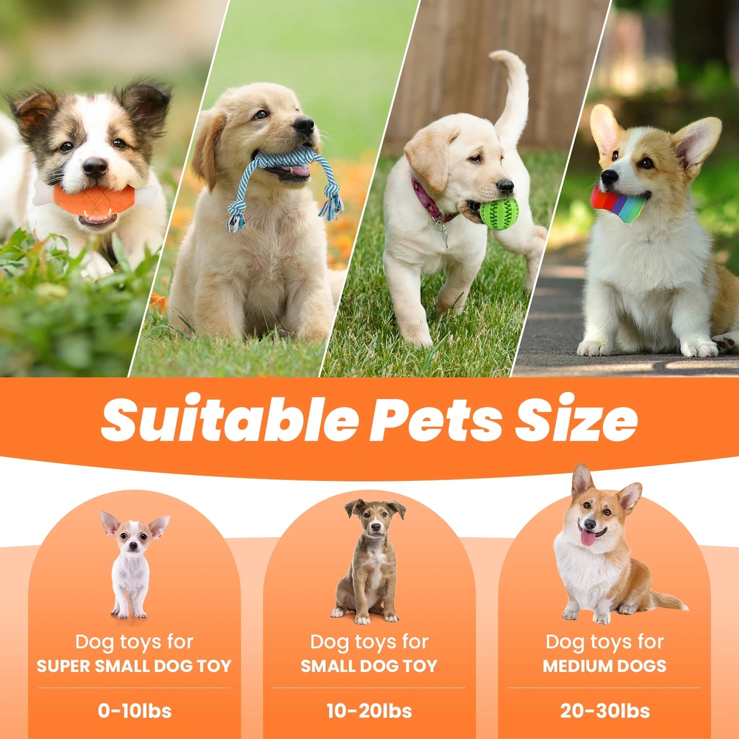 Small dog chew toys - 10 Pack