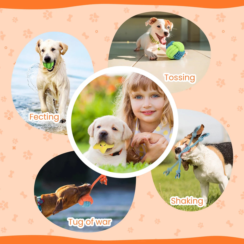 Small dog chew toys - 10 Pack