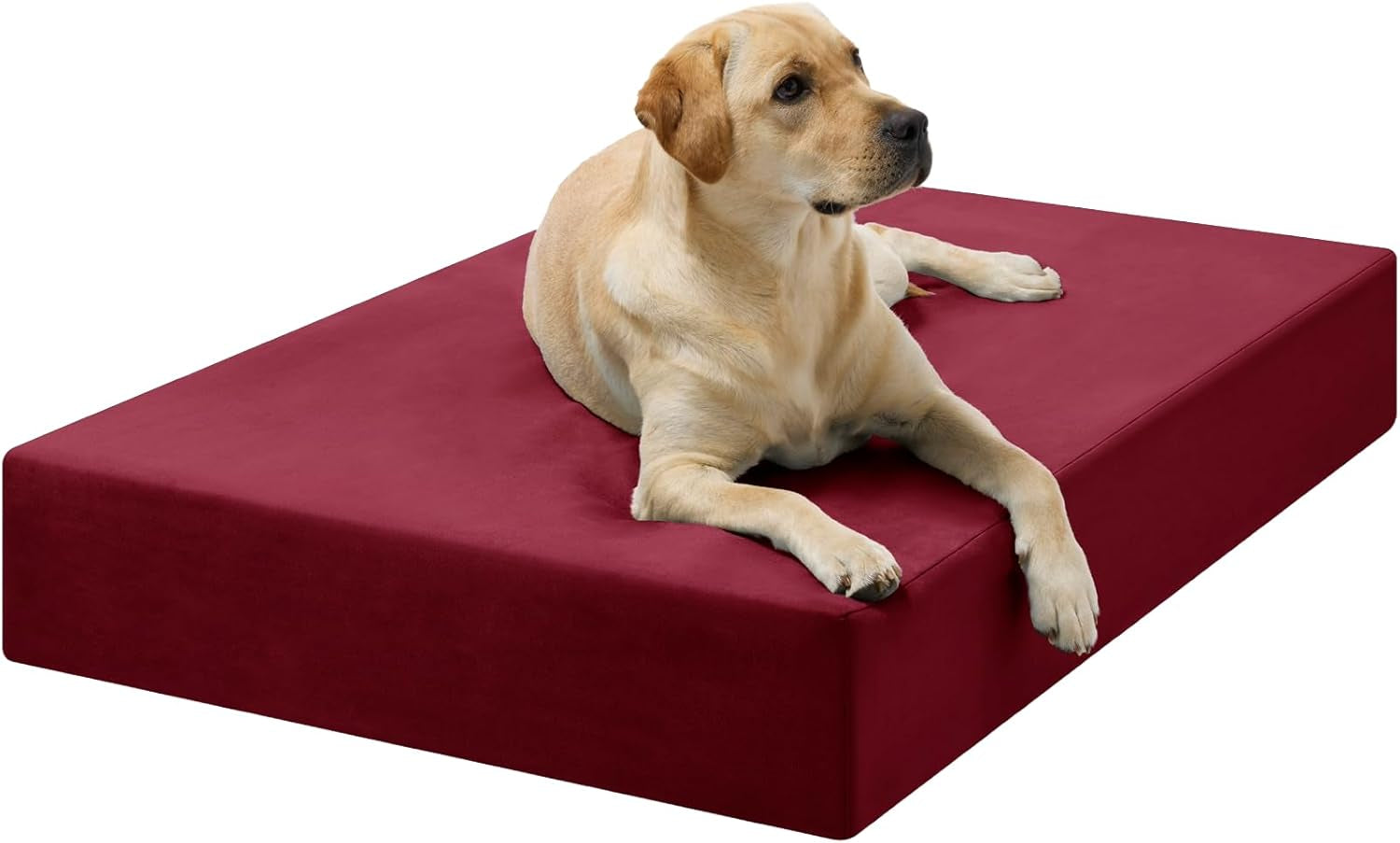 Barker Beds Large Orthopedic Dog Bed - 7" Memory Foam Mattress - 50-70 Lbs - Joint Pain & Arthritis Support - Vet Recommended, Washable Cover - Made in USA - 48"X30"X7" - Burgundy