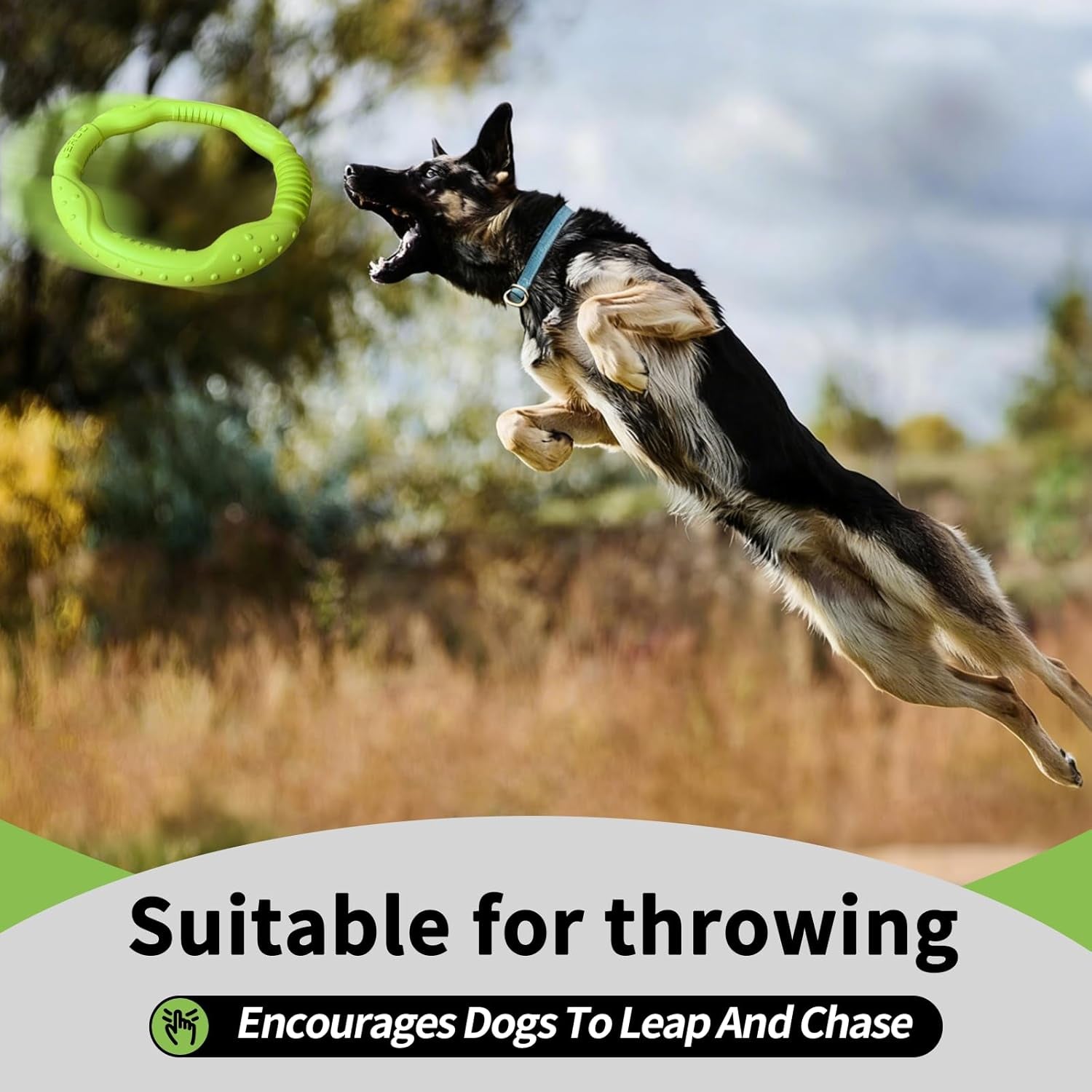 Dog Ring Toy Floating Flying Disc, Durable Lightweight Dog Toy for Medium Large Dogs Ideal for Throwing Catching Grabbing Outdoor Training Play Interactive Fetch Game(Green/11.8Inch)