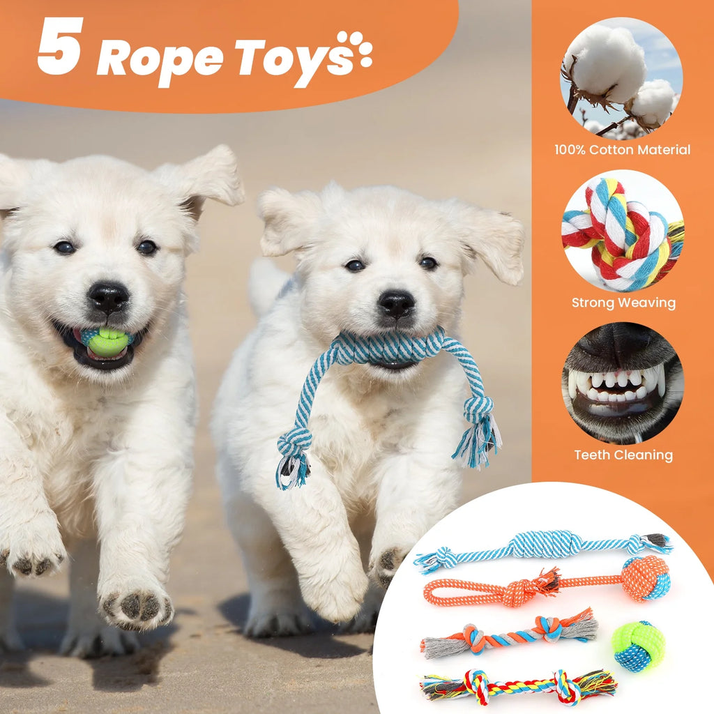 Small dog chew toys - 10 Pack