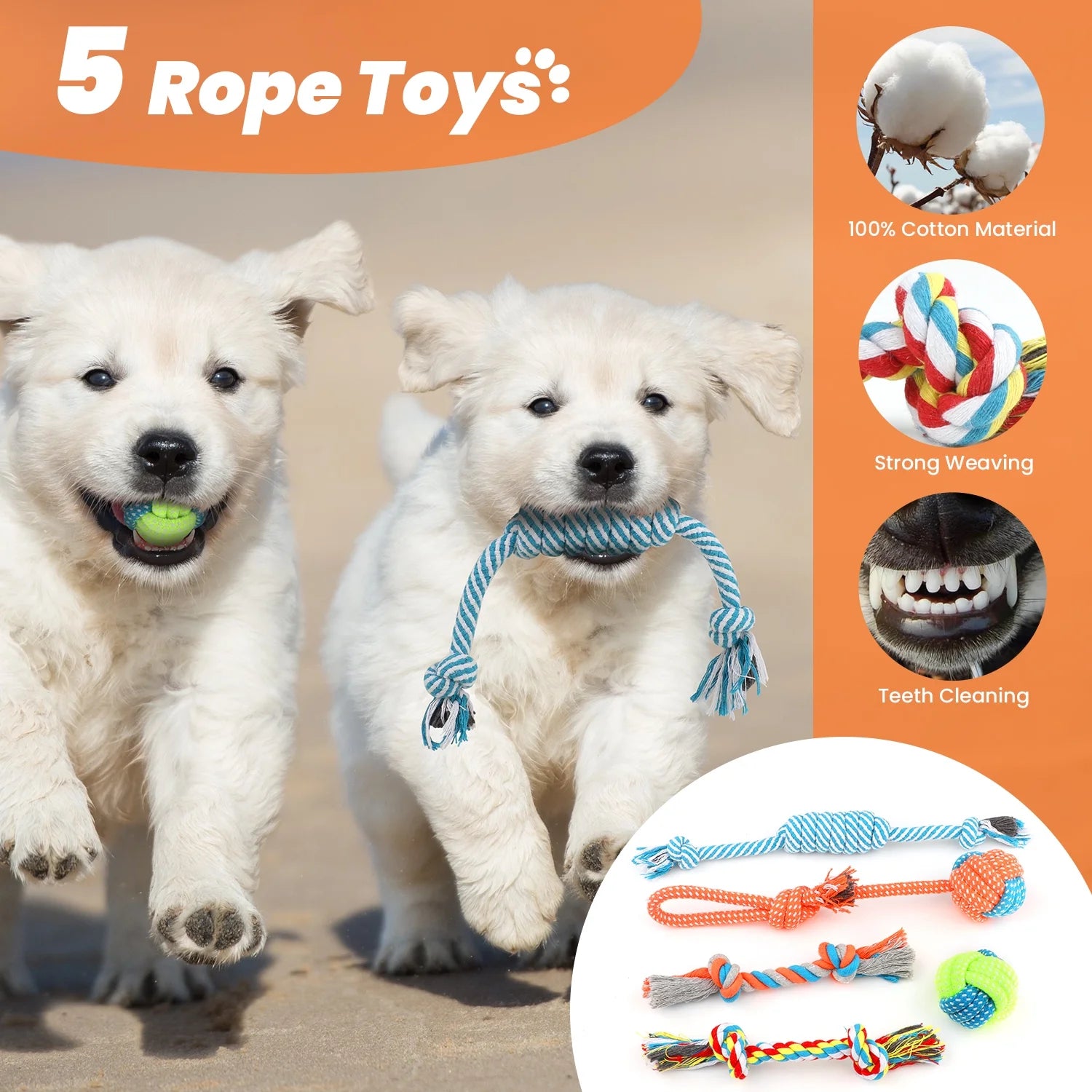 Small dog chew toys - 10 Pack